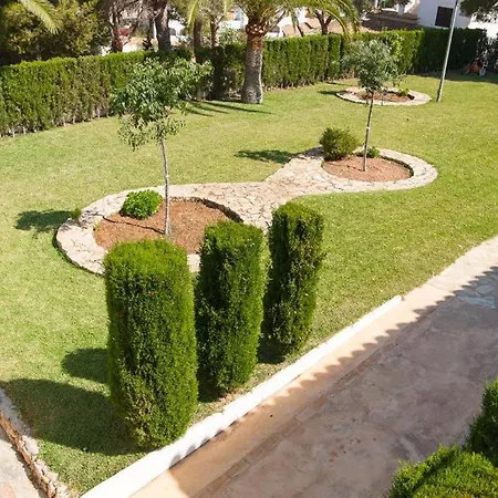 Timon Moraira